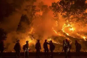 美国加州再度爆发森林大火，或会影响当地葡萄酒庄