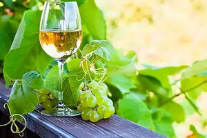 巧识15种酿造白葡萄酒的品种，让你向葡萄酒大咖再进一步