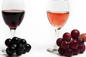 葡萄酒的品种和产地