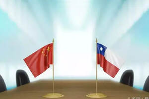 农业部长说要“征服中国市场”！智利酒，哪来的底气儿？