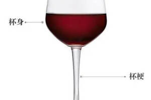 高脚杯杯梗是个什么梗？三大葡萄酒酒杯杯梗作用，第一条很关键！