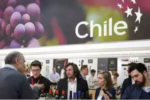 数据：中国占据智利葡萄酒的大部分市场份额
