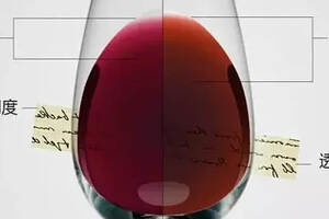 从葡萄酒的色泽分辨葡萄酒的酒龄