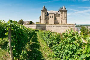 关于卢瓦尔河谷葡萄酒10个令人惊讶隐藏的瑰宝