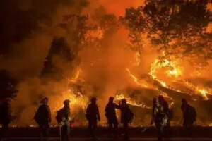美国加州燃起史上最大规模山火葡萄园影响几何？