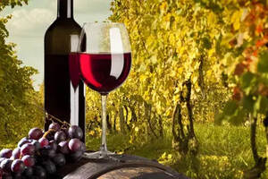 葡萄酒出口紧追法国澳洲有望成中国首供