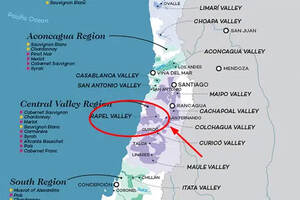 智利葡萄酒的产区：这些“行内”特点，知多少