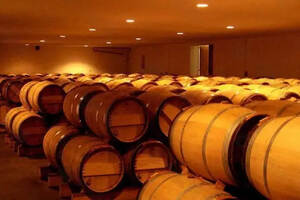 不同类型橡木桶能给葡萄酒带来不一样的风味