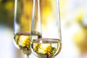 白葡萄酒分类指南白葡萄酒有什么类型