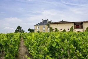 法国最出名的红酒庄园