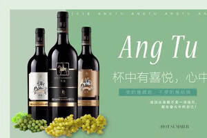 中国进口葡萄酒市场报告新鲜出炉，有你想要的信息吗？