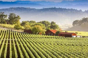 智利葡萄酒产区——中央山谷（智利葡萄酒产区及排名）