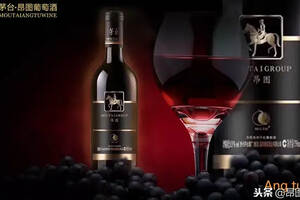 葡萄酒的“黑色果香”VS“红色果香”你分得清吗？