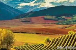 全世界葡萄种植面积最大的国家---西班牙