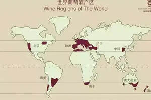 最全面的世界葡萄酒产区地图！（世界葡萄酒七大产区）