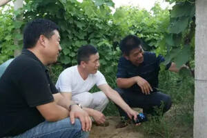 黄河故道产区暨民权葡萄酒发展战略研讨会在天明民权顺利召开