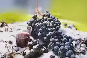 加强葡萄酒是一种在葡萄发酵