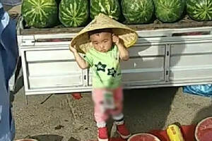 3岁宝宝身挂“二维码”卖西瓜，女子逗娃降价，孩子的反应笑翻了