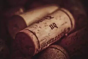 木塞污染与木塞掉入葡萄酒中是两码事儿