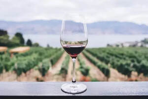红酒和葡萄酒到底有什么区别？|富隆酒业