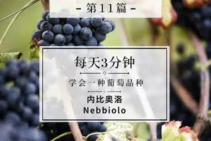 内比奥洛：成就意大利“罗曼尼康帝”的传奇葡萄品种