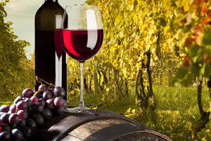 葡萄酒中的香草味来自橡木桶，酒液与橡木桶浪漫故事的结晶
