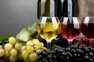 哪个品种的葡萄酒好喝