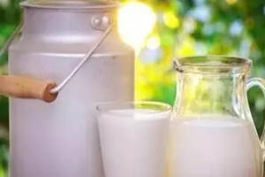 每天喝一杯牛奶对女性养生有什么好处？