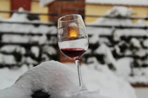 再贵的酒也不抗冻！冬天的葡萄酒要如何保存和运输？|富隆酒业