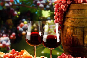 花3分钟，了解一下葡萄酒的年份、灌装期、保质期、适饮期，有用