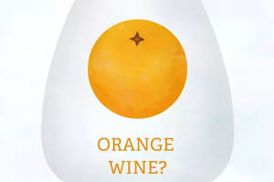 解惑丨橙酒=橙子酿的酒？