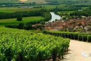 法国葡萄酒产区知识点之独特的香槟产区