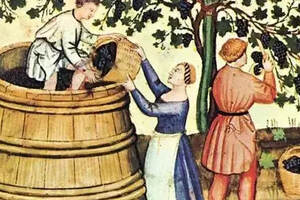 在葡萄酒的酿造中，自流汁和压榨汁都是咋回事儿？