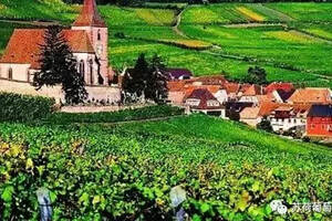 法国葡萄酒的AOC制度到底是怎么一回事儿？