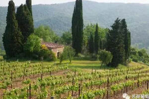 法国葡萄酒产区基础知识之广袤的朗格多克
