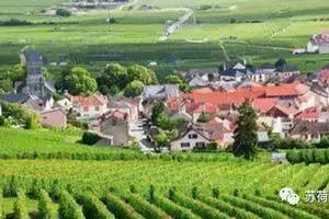 勃艮第为什么是法国最难懂的葡萄酒产区？