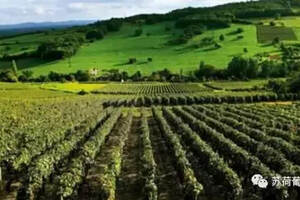 法国葡萄酒产区知识点之罗讷河谷（隆河）的基础知识