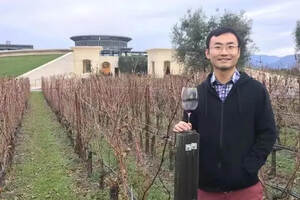 大事件！中国首位葡萄酒大师诞生了