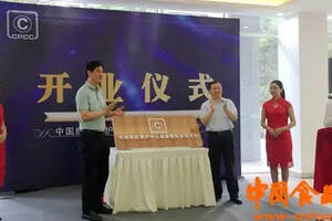 成都高新区中国版权保护中心西南登记厅开业