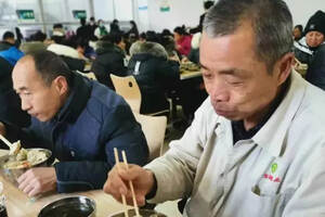 小节日大关爱｜宝丰酒业组织500多名员工冬至集体吃饺子