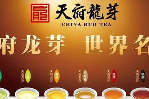 天府龙芽世界分享川茶集团创新催生新品牌