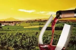 对葡萄酒来说酒香酵母是福是祸？