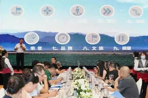 “当惊世界殊”，宁夏开启国产精品葡萄酒品牌建设之路