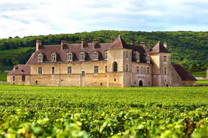 葡萄酒产区比拼，波尔多是法国葡萄酒国王，勃艮第是皇后