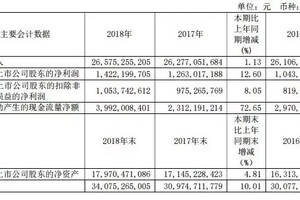 青岛啤酒公布2018年财报，营收265.75亿、净利润14.22亿