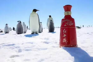 红西凤登陆南极点幸福味道全球共享