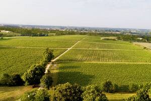 保加利亚葡萄酒产区之北部地区介绍