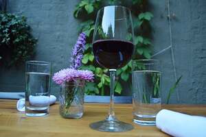 白葡萄酒饮用者的六种最佳红酒（白葡萄酒和红酒的区别）