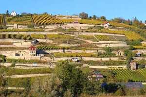 意大利的南部四区葡萄酒产区知识内容，你们是知道多少呢？