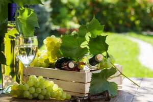 葡萄酒保存须牢记三大要素，是哪些呢？
